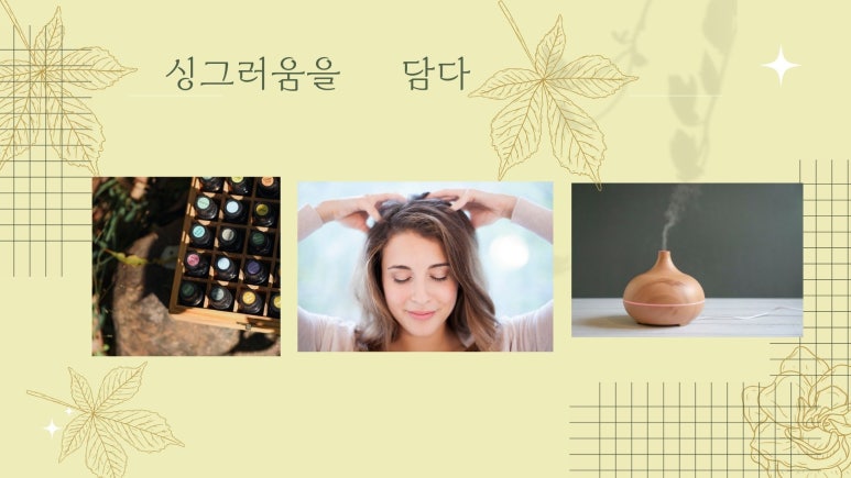 아로마 테라피 오일 천연 디퓨저는 단순한 향 제품이 아닙니다. 지담 테라피x더폼헤어